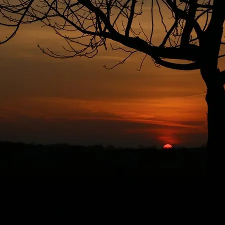 Weideblik Biezenmortel