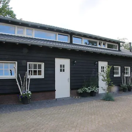 Weideblik Biezenmortel