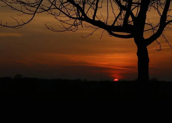 Weideblik Biezenmortel