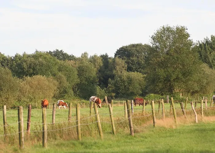 Apartment Weideblik Biezenmortel