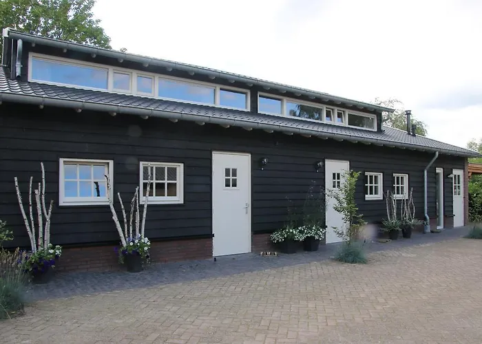 Weideblik Biezenmortel