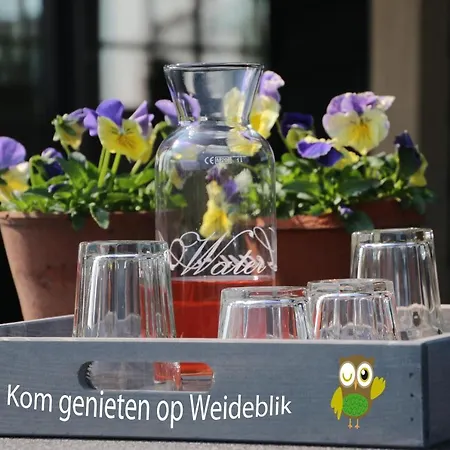 Weideblik アパート *